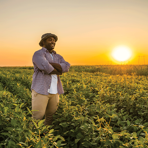 Man standing in a field