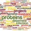 MT May 2016 comment wordle