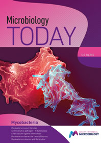 Cover of Microbiology Today magazine in magenta and purple colours with abstract red and cyan shape