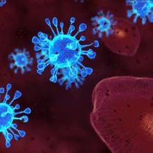 Coronavirus SARS-CoV-2