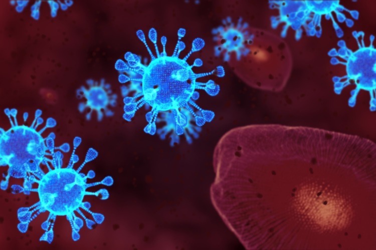 Coronavirus SARS-CoV-2