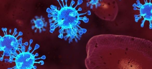 Coronavirus SARS-CoV-2