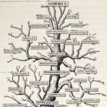MT May 2016 tree of life human family tree