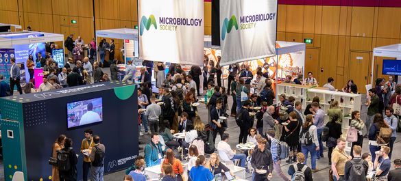 A crowd of delegates at Annual Conference