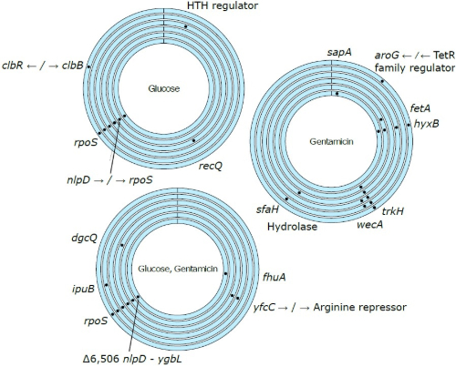 Figure 1 R.Hall blog.jpg