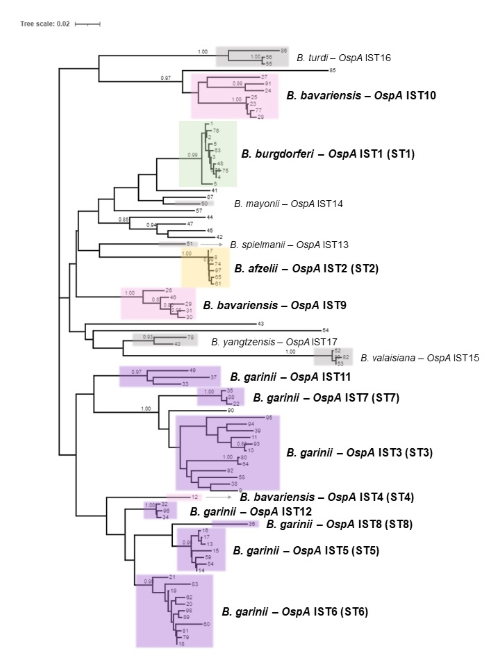 Figure2 J.Lee Blog.jpg