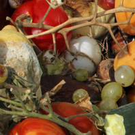 Close up of various fruits, like grapes
