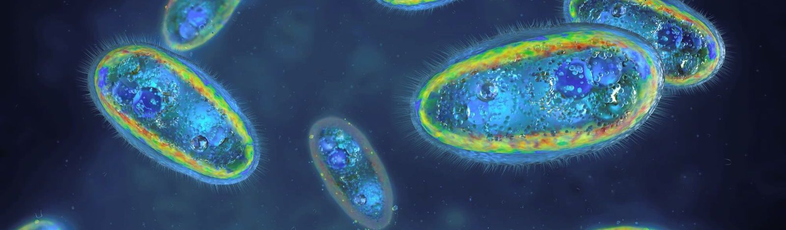 iStock-1811232995 (1) resized.jpg