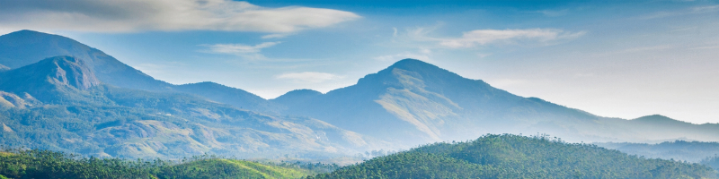 iStock-511119924 (3).jpg