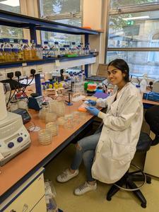 Janvi Gianchandani Baxani working in a lab.