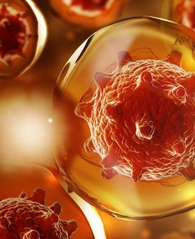 Red virus-like cells inside transparent spheres.