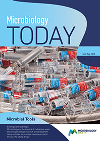 Cover of Microbiology Today, issue of May 2018