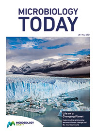 Microbiology Today magazine cover from May 2021