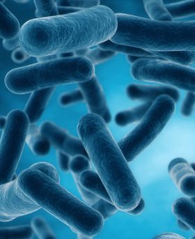 3D illustration of bacteria floating in a blue environment.