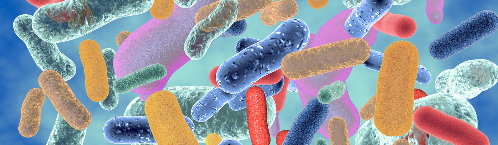 Microbial Cycling 2022 banner_iStockimage_jung.jpg