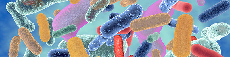 Microbial-cycling-blog-banner.jpg