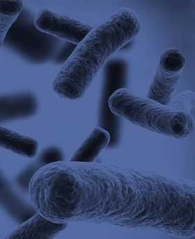 3D illustration of bacteria floating in a blue environment.