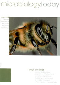 Microbiology Today front cover with a bee on a white background.