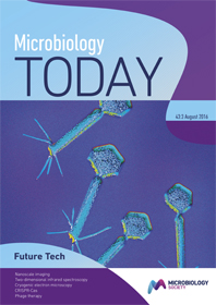 Microbiology Today cover from August 2016