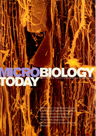 Cover of Microbiology Today, issue of August 2003