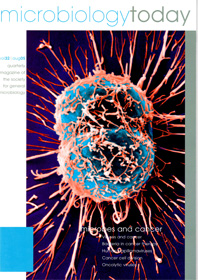Cover of Microbiology Today, issue of August 2005