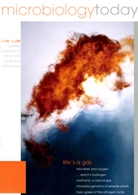 Cover of Microbiology Today, issue of August 2008