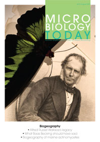Cover of Microbiology Today, issue of August 2013