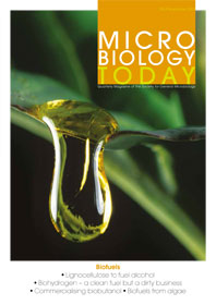 Cover of Microbiology Today, issue of November 2013