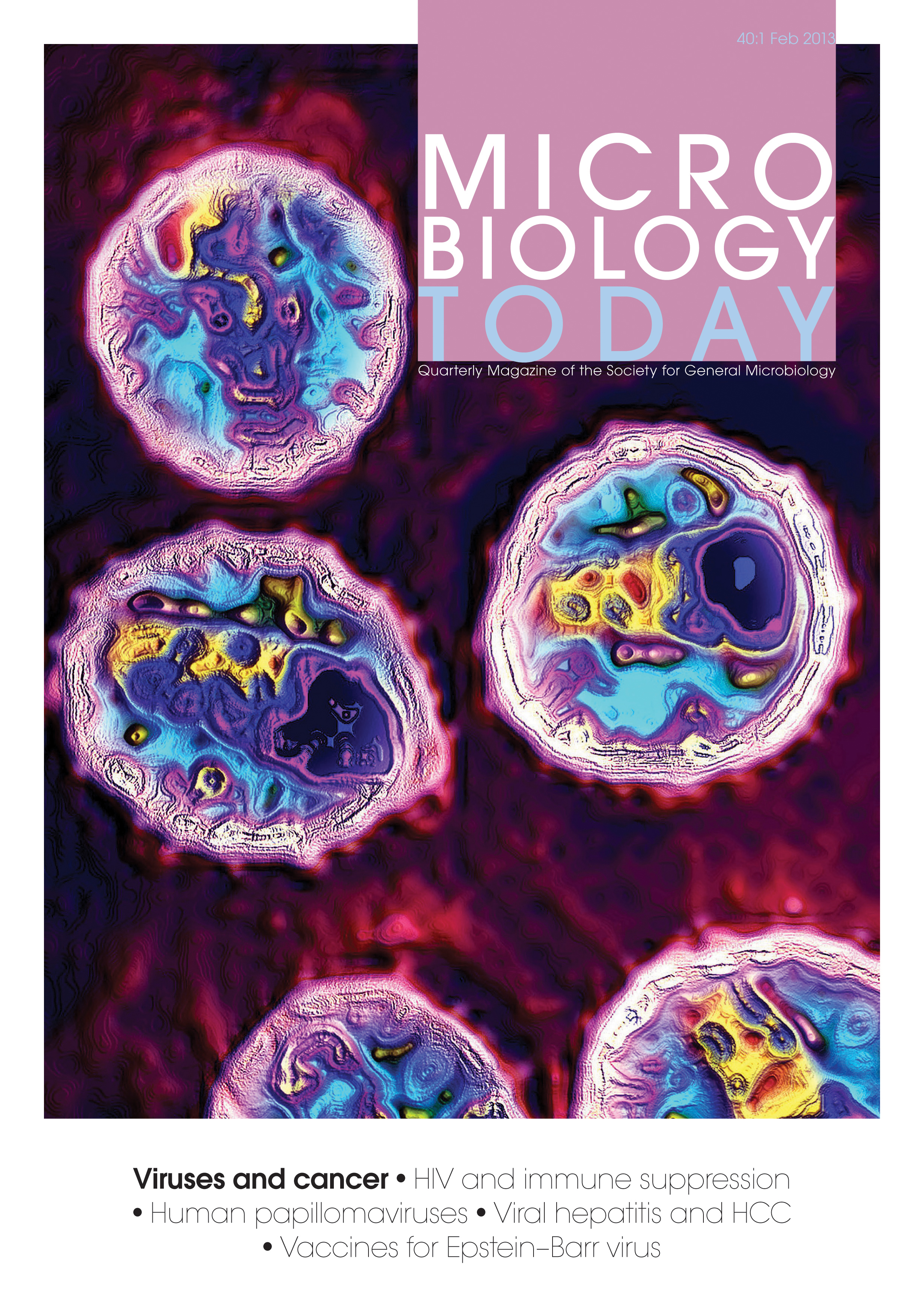 Cover of Microbiology Today, issue of February 2013