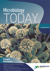 Cover of Microbiology Today, issue of February 2016