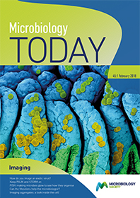 Cover of Microbiology Today, issue of February 2018