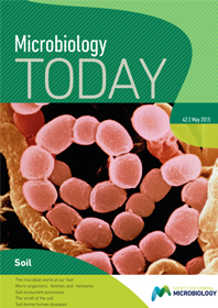 Cover of Microbiology Today, issue of May 2015