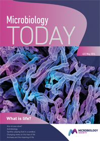 Cover of Microbiology Today, issue of May 2016