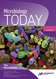 Cover of Microbiology Today, issue of May 2017