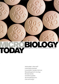 Cover of Microbiology Today, issue of May 2004