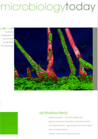 Cover of Microbiology Today, issue of May 2007