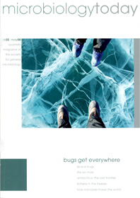 Cover of Microbiology Today, issue of May 2008