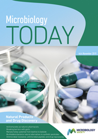 Cover of Microbiology Today, issue of November 2019