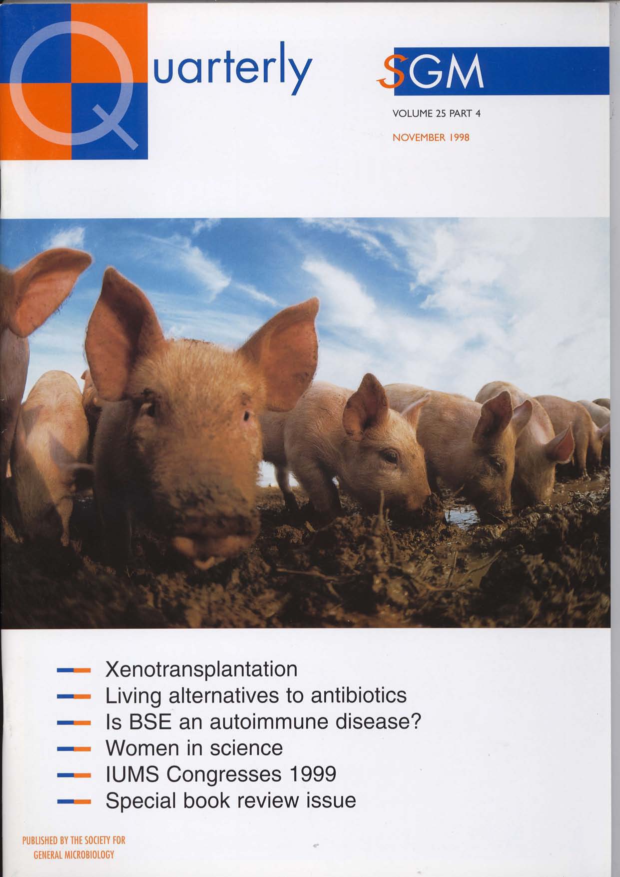 Microbiology Today front cover with multiple pigs in a field.