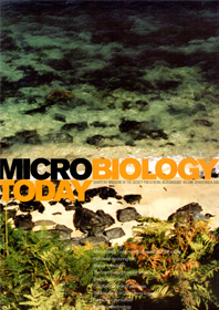 Microbiology Today front cover with a grey cloudy sky.