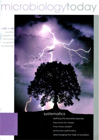 Microbiology Today front cover with a tree and lightning bolt.