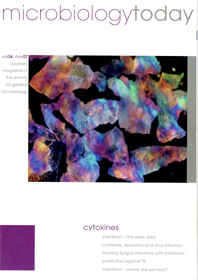 Microbiology Today front cover with colourful shapes.