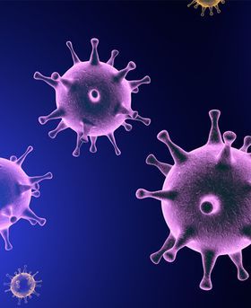 3D illustration of purple virus particles with spike-like projections in a dark blue background.
