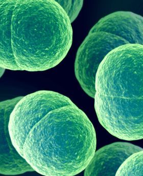 Microscopic image showing multiple green particles scattered on a dark background resembling cellular structure.