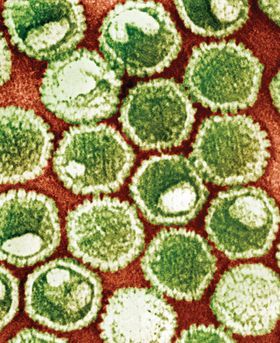 Colourful microscopic image of molecules in a cell.