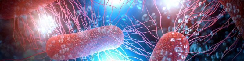 Rebecca hall blog main (1).jpg