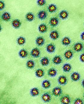 Colourful microscopic image of molecules in the cell.