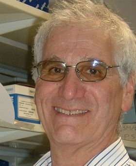 Headshot of Robin Weiss.