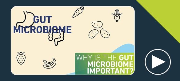 Thumbnail of a video on why is the gut microbiome important