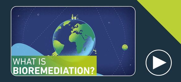 Thumbnail of a video on what is bioremediation